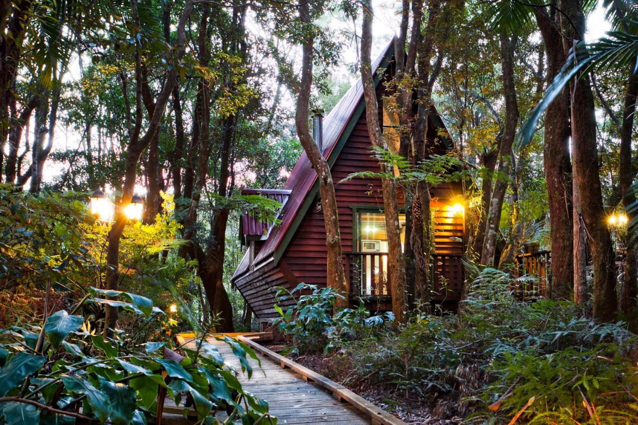 he Mouses Rainforest Retreat, Springbrook, Gold Coast